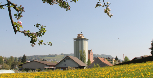 gemeinde-matzingen-t